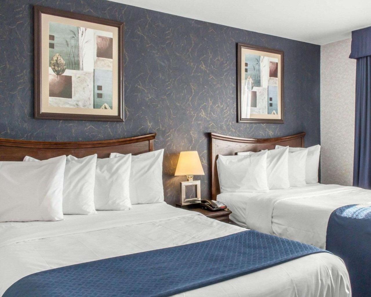 Paramount Inn Floral Park Exteriör bild